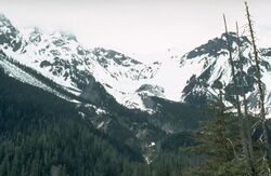 A glaciated mountain rising over a forested valley.