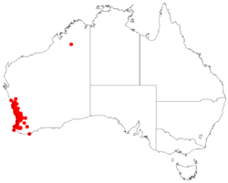 Calectasia7narragaraDistMap.png