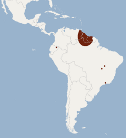 Distribution of Eumops maurus.png