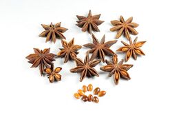 Dried Star Anise Fruit Seeds.jpg