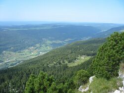 Jura Mountains.jpg