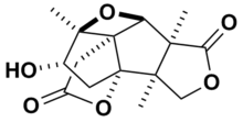 Skeletal structure of merrilactone A