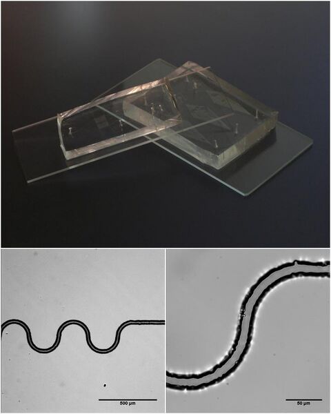 File:Microfluidics.jpg