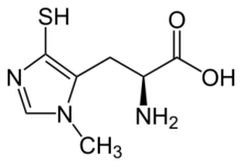 Ovothiol A.svg