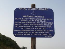 Shark warning - Salt Rock South Africa.jpg