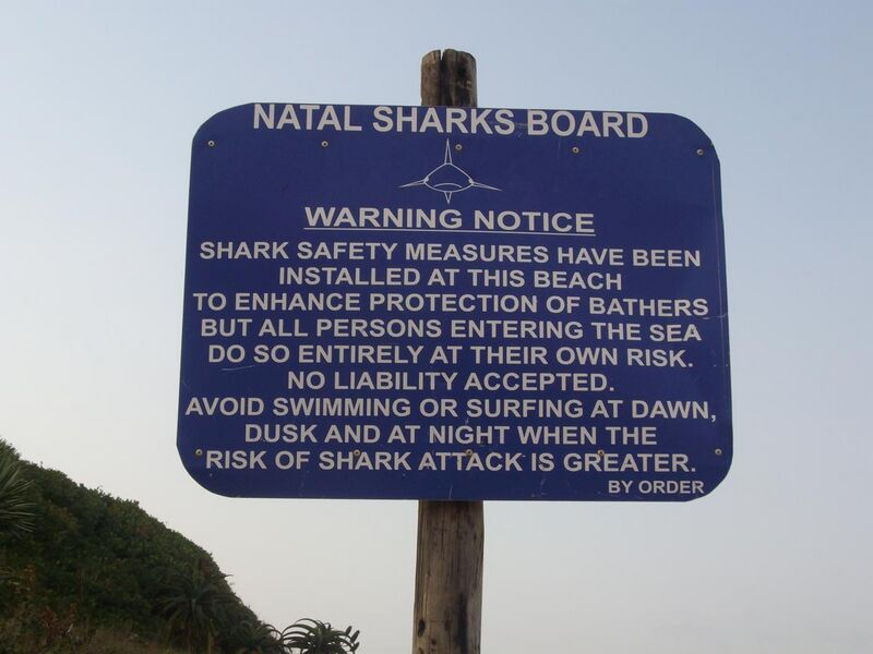 File:Shark warning - Salt Rock South Africa.jpg