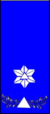 Sivilforsvaret-Distinksjon-Sivilforsvarsadjutant1.png