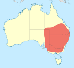 Austrogomphus australis distribution map.svg