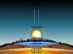 BIOGEOCHEMICAL CYCLING OF ELEMENTS.svg