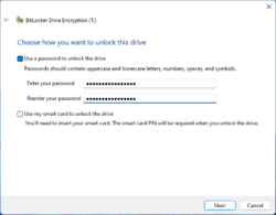 Bitlocker setup window screenshot.png