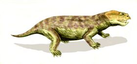Eodicynodon BW.jpg