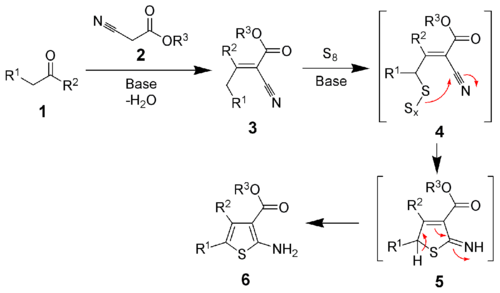 The mechanism of the Gewald reaction