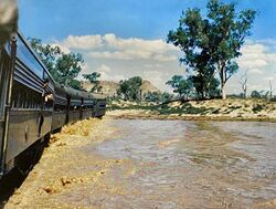Ghan train crossing flooded Finke River, Northern Territory, Australia ca 13 Feb 1953 (Peter Dunham).jpg