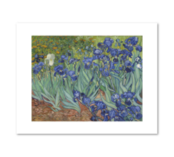 Irises, Vincent Van Gogh.png