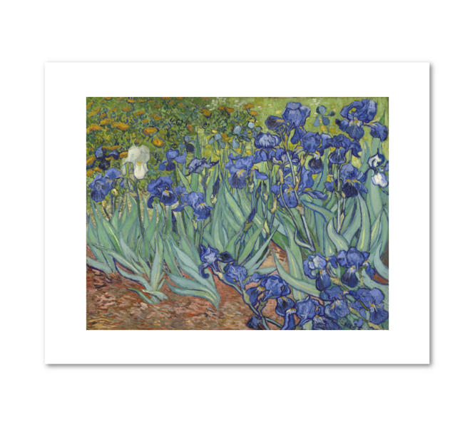 File:Irises, Vincent Van Gogh.png