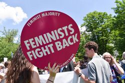 A woman at a demonstration outdoors holds a sign that says Feminists Fight Back