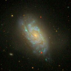 NGC1084 - SDSS DR14.jpg