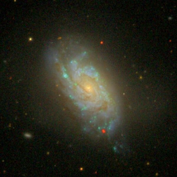 File:NGC1084 - SDSS DR14.jpg