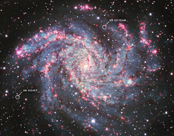 NGC 6946 (Kitt Peak National Observatory) (2023-115).png