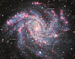 NGC 6946 (Kitt Peak National Observatory) (2023-115).png