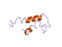 PDB 1ehs EBI.jpg