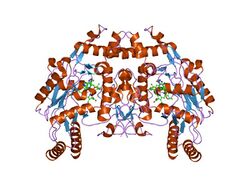 PDB 1m9k EBI.jpg