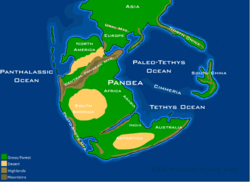 Pangaea (230 million years ago).png