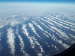 Stratocumulus undulatus.jpg