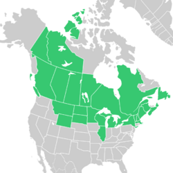 Symphyotrichum ciliolatum native distribution map: Canada — Alberta, British Columbia, Manitoba, New Brunswick, Newfoundland, Northwest Territories, Nova Scotia, Ontario, Québec, Saskatchewan, and Yukon; US — Illinois, Maine, Massachusetts, Michigan, Minnesota, Montana, New Hampshire, New York, North Dakota, South Dakota, Vermont, Wisconsin, and Wyoming.