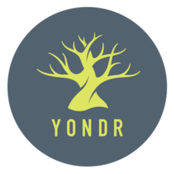Yondr logo.png
