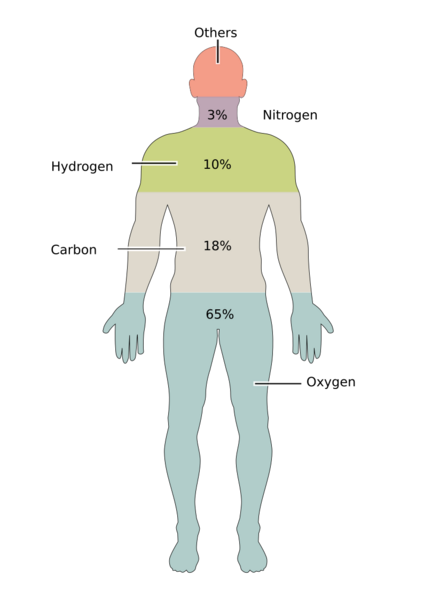 File:201 Elements of the Human Body.02.svg