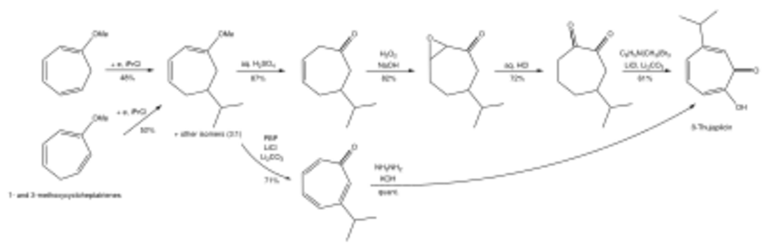 Biosynthesis of beta-thujaplicin through electroreductive alkylation.svg