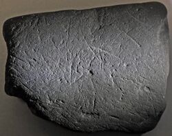 Black mudshale with glacial scratches 3 (27243862958).jpg