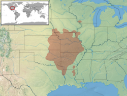 Carphophis vermis distribution.png