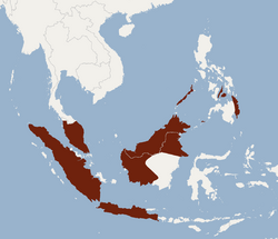 Distribution of Kerivoula pellucida.png