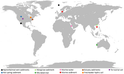 Global distribution of metagenomic-assembled sequences of Asgard archaea.png