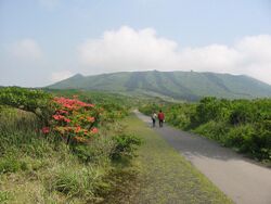 Izu-Oshima-IMG 4759.jpg