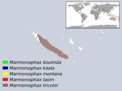 Marmorosphax sp. distribution.svg