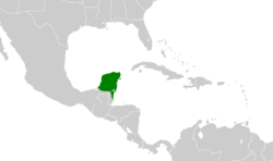 Melanerpes pygmaeus map.svg