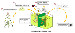 Microbial electrolysis cell.png