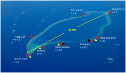 Osprey Reef - Nautilus sampling and tracking detection sites.png