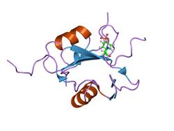 PDB 1qg1 EBI.jpg