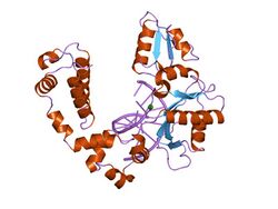 PDB 1zqb EBI.jpg