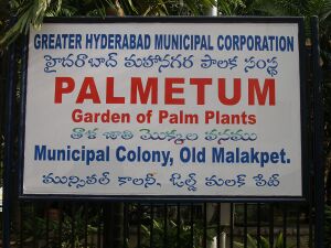 PalmetumHyderabad.JPG
