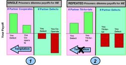 Two bar charts show roughly how payoffs to players differ between a single prisoner's dilemma game and repeated games