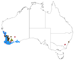 Map showing distribution of Tribonanthes in southwestern Australia