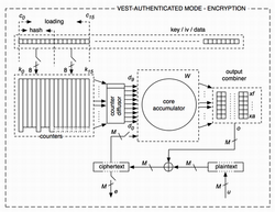 VEST Structure.PNG