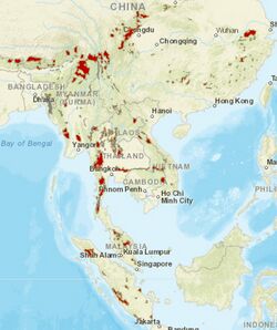 AsianGoldenCat distribution.jpg