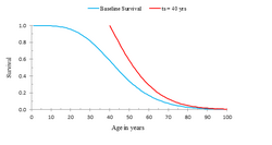 Bridge Deck Conditional Survival Figure.png