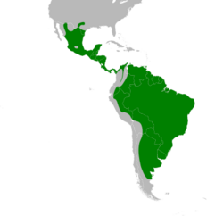 Chloroceryle americana map.svg